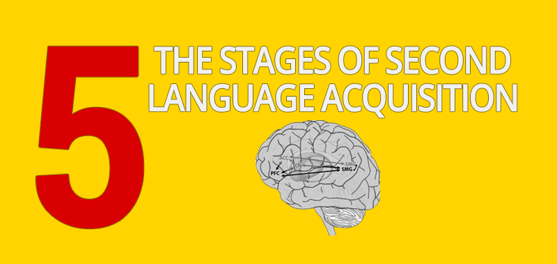 The 5 Predictable Stages Of Second Language Acquisition ALL ESL