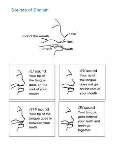 Sounds of English Worksheet