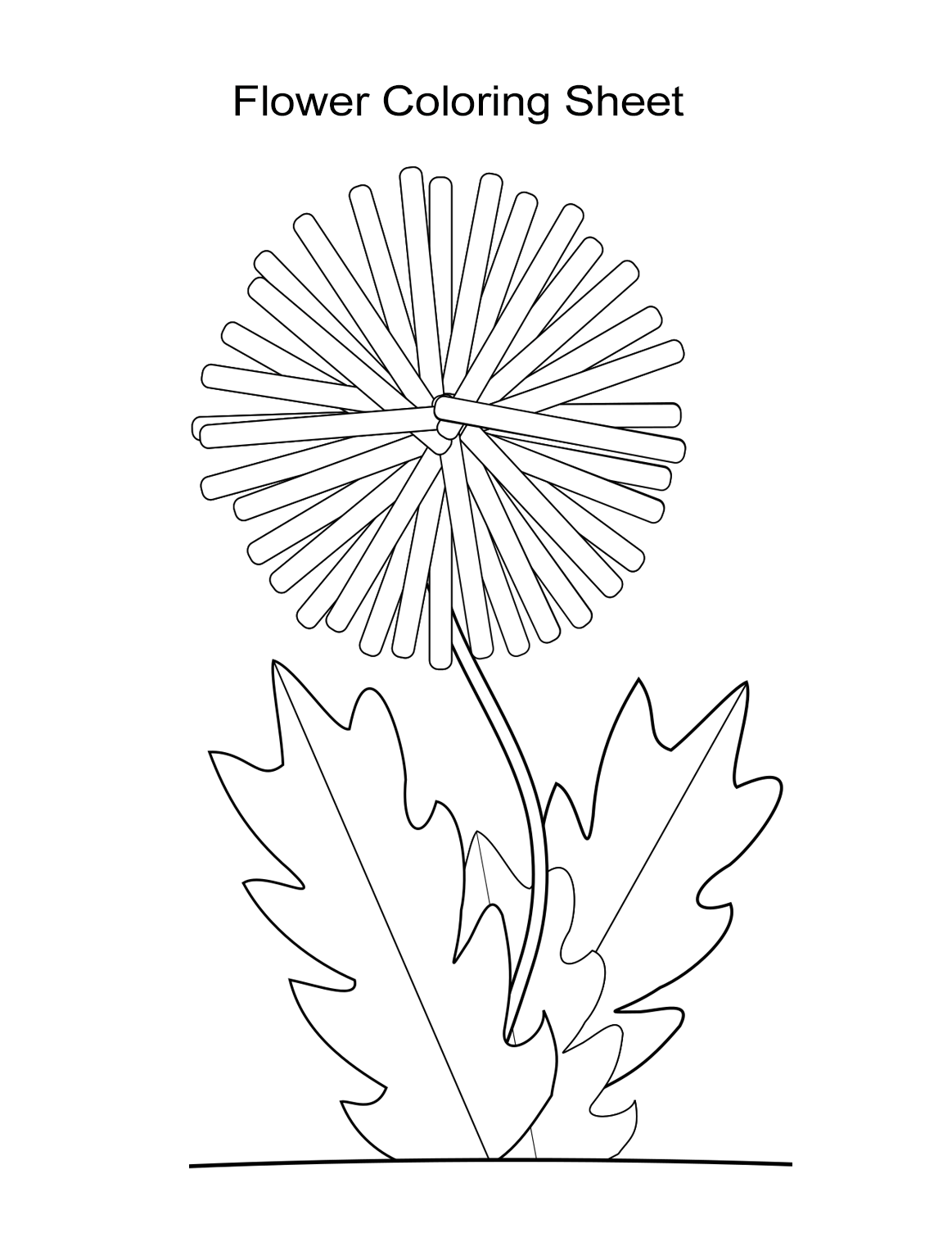 830 Dandelion Flower Coloring Pages  Images