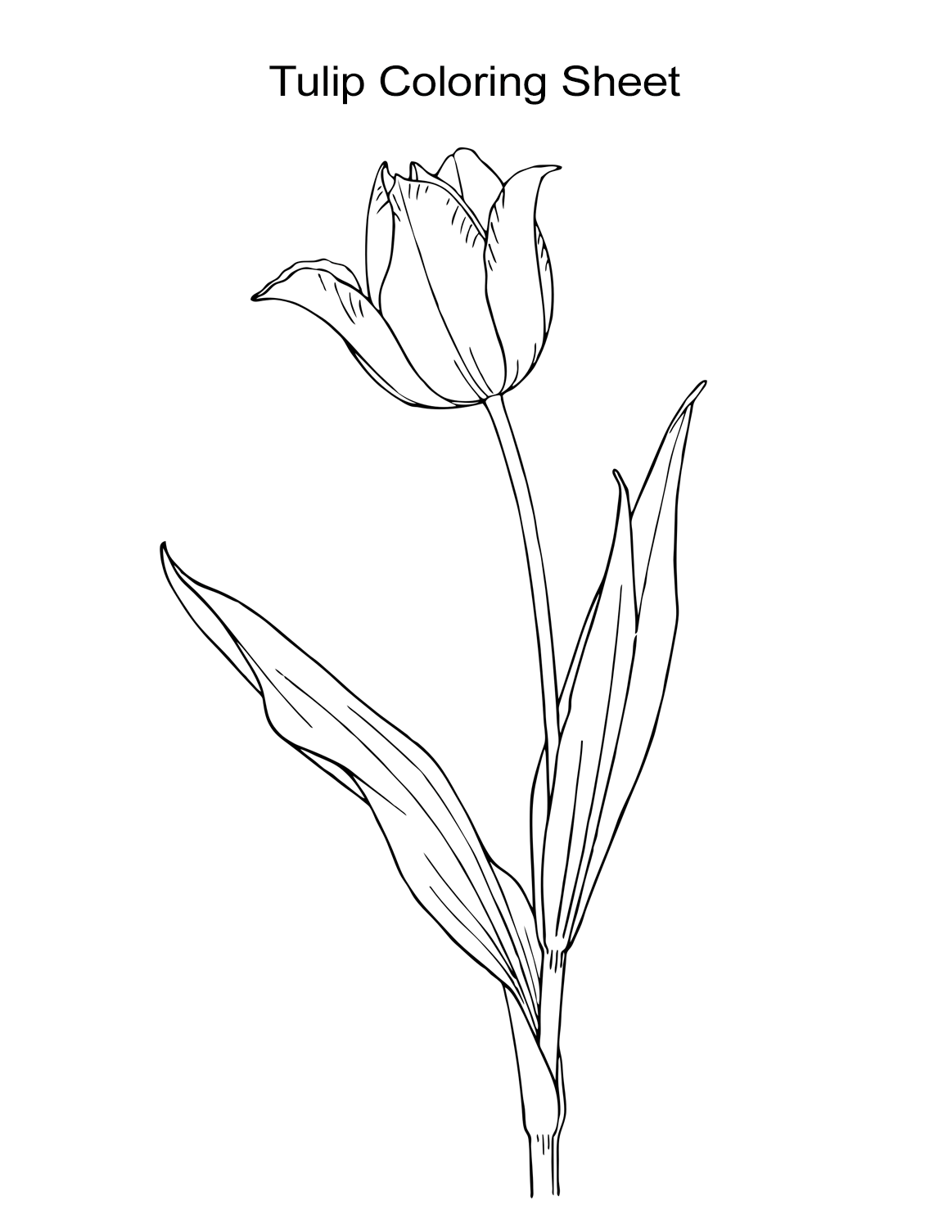 Featured image of post Tulip Coloring Pages For Adults - Select from 35450 printable coloring pages of cartoons, animals, nature, bible and many more.