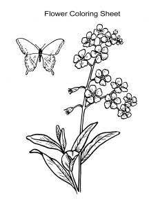 Flower and Butterfly Coloring Sheet