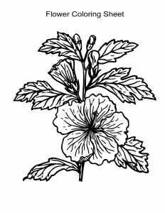 Flower Coloring Sheet