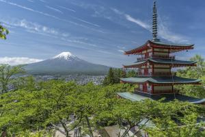 fuji pagoda japan