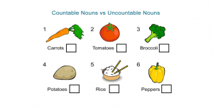 Countable Nouns vs Uncountable Nouns Worksheet