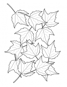 Falling Leaves Coloring Sheet