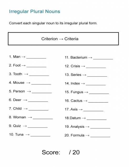 Regular Irregular Plurals Worksheets