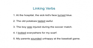 Linking Verbs Worksheet: Find the Linking Verbs