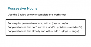 Possessive Nouns Worksheet: Singular and Plural Nouns