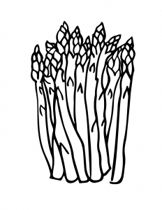 Asparagus Coloring Sheet