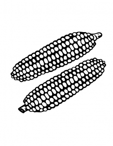 Corn Coloring Sheet