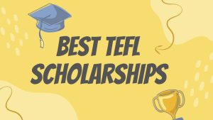 The 3 Best TEFL Scholarships