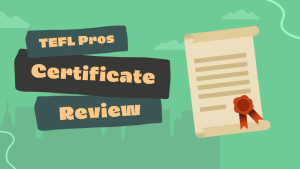 TEFLPros Review: Go with the Pros?